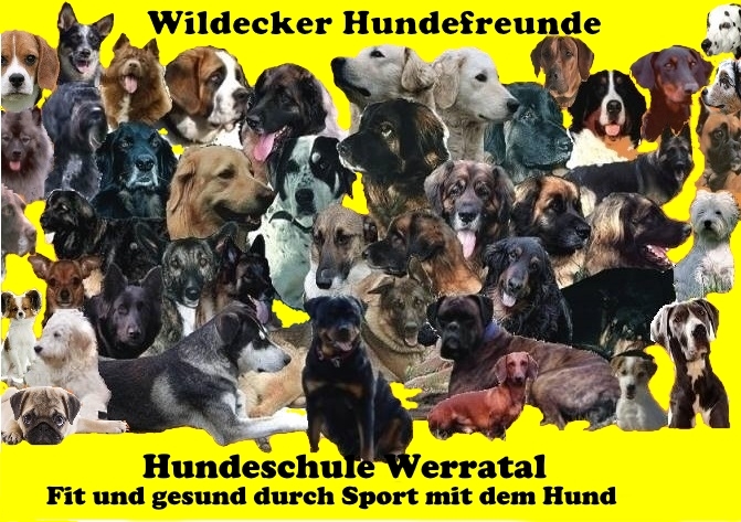 Hundegruppe