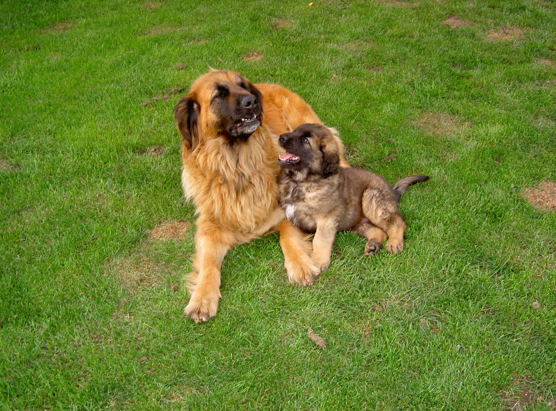 Branka und Ben