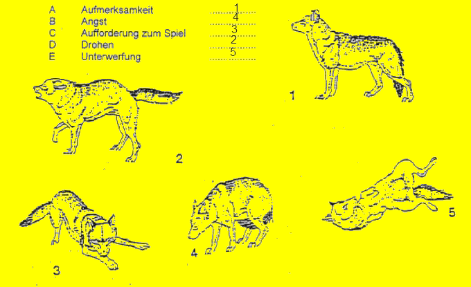 image004.gif