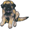 leonberger sitzt.gif