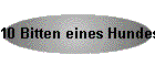 10 Bitten eines Hundes