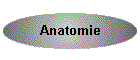 Anatomie